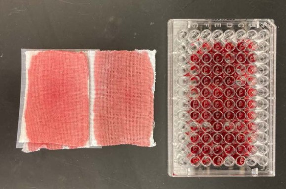 A photo of two gauze pads (left) soaked with period blood and a 96-well plate filled with period blood (right) on a black lab bench.